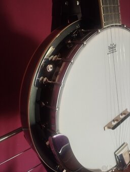BANJO HBJ 25 - 10