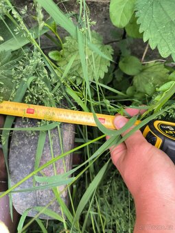 Přepravní klec pro dobytek a skot - 10