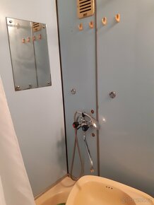 Pronájem bytu 1+kk - 10