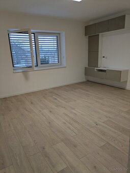 Byt k pronájmu 1+1 - 10