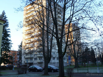 Pronájem 2+1 Čéčova, České Budějovice - 10
