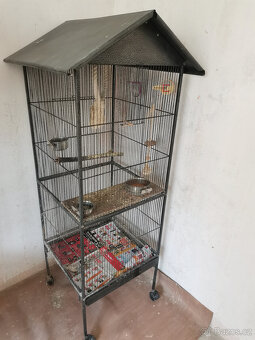 Dvě mladé korely s velkou klecí - 10