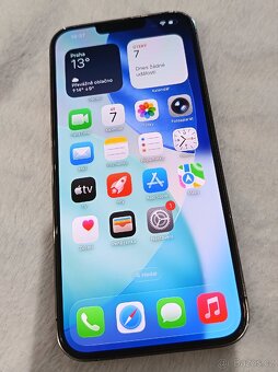 IPHONE 13 PRO MAX - 10