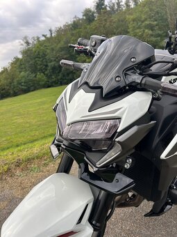 Kawasaki Z900 (2022) - 10