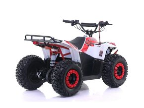 Dětská čtyřkolka 4 RIDER - 10