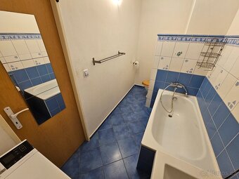 Pronajmu byt 1+1 s patrem na spaní, Mladá Boleslav, max 2os. - 10