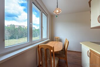 Pronájem, byt 2+1, 59 m2, Chomutov, Školní pěšina ul. - 10