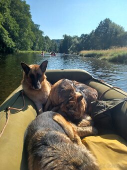Velký raft s motorem - 10