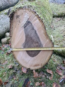 Prodám ořechové dřevo 1,5 m3 - 10