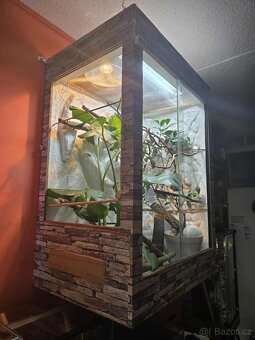 OSB terárium - 10