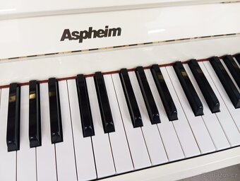 Aspheim (Hyundai)/lesk/-Dovoz i na Štědrý den 24.12. - 10