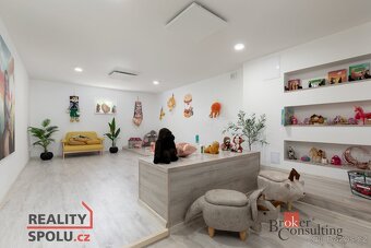 Pronájem, byty/2+kk, 55 m2, Příčná, Bruntál, Bruntál [ID 794 - 10