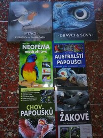 Holubi osli ryby koně ptáci včely - 10