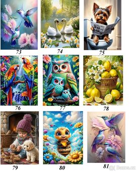 DIY Diamond painting Diamantové malování 30x40 - 10