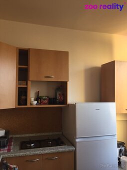 Pronájem, Byt, 1+1, 42 m2, Chomutov, Holešická ul. - 10
