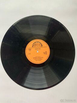 LP desky - různé - 10