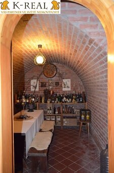 Pronájem byt 4+kk Židlochovice, okr. Brno - venkov - 10