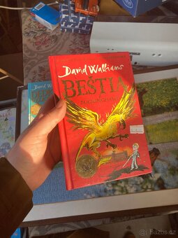 Detská literatúra - 10
