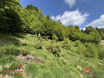 Prodej, pozemky/bydlení, 1161 m2, Hraničná, 46811 Janov nad - 10