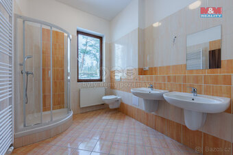 Prodej rodinného domu, 376 m², Mezirolí, Nová Role - 10