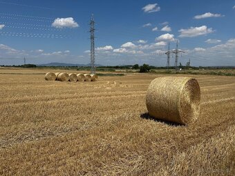 Pšeničná slama guľaté baliky - 10
