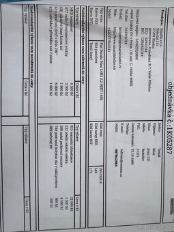 Fiat Ducato Maxi L4H2 - 10