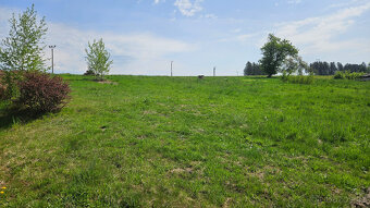 Stavební pozemek Jílové u Držkova - 4564 m2 - 10