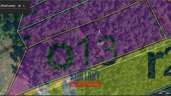 Prodej unikátních lesních pozemků v katastrálním území Hodyn - 10
