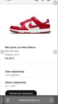 Nike Dunk Low Next Nature - 10