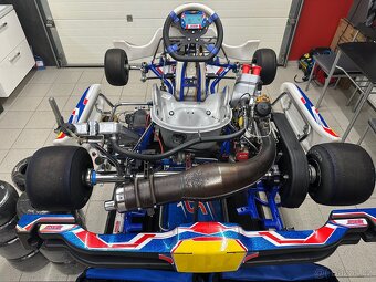 motokára ROK GP MS BLUE PHOENIX + motor - 10