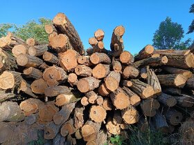 Kvalitní palivové dřevo okoli Chomutov až Karlovy a Praha - 10