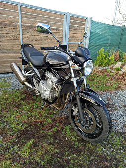 Suzuki GSF 650 Bandit R.V.2009 - 10