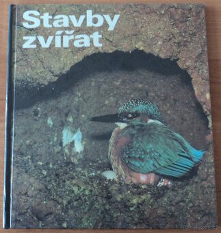 Psi, Stavby zvířat - 10