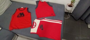 Tílka Nike xl, Maple l, Alpine Pro xl cena za 3kusy - 10
