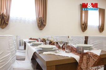 Pronájem komerčního objektu, 635 m², Vřesina - 10