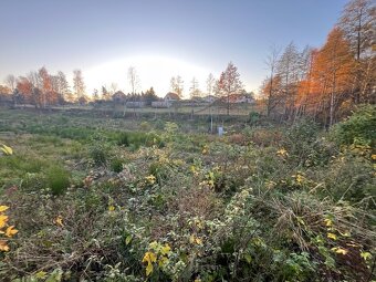 Prodej, pozemek 4200m2 - 10