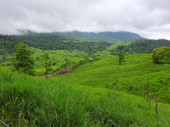 Farma Kostarika Guayacará 152 Ha - 10