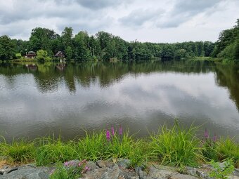 Prodej chaty v CHKO Železné hory - 10