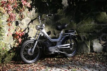 MALAGUTI FIFTY 50 TOP STAV VETERAN - 10
