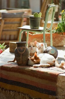 Praktika BMS + dva objektivy - 10