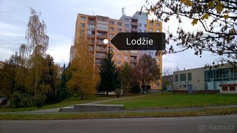 Pronájem bytu- 1+kk, (garsoniéra ) v Plzni - 10
