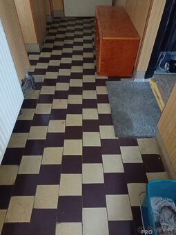 Pronájem bytu 1+kk 117m2 - Veselice - Vavřinec v okrese Blan - 10