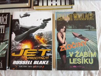 Thrillery, detektivky - 10