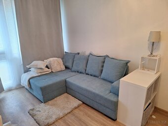 Pronájem bytu 4+kk s 3 lodžiemi, Praha 10, Vršovice, Kazašsk - 10