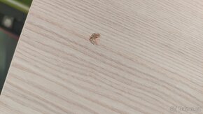 Klasický a rohový psací stůl + knihovna/polička - 10