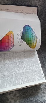 Websterův naučný slovník - 10