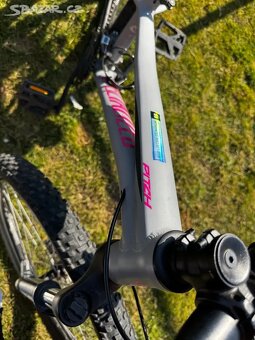 Specialized - 10