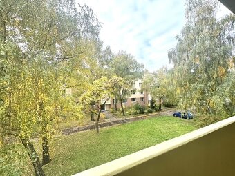 Pronájem bytu 2+1, St. Živného, Mikulov - 10