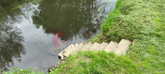 Prodej Chaty se zahradou v Přešticích - 10