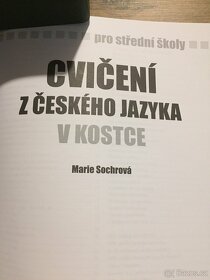 Český jazyk a literatura - 10
